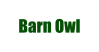 Barn Owl